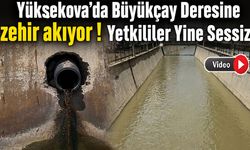 Yetkililer Sorumluluk Almıyor: Büyükçay Deresi’nde Balıklar Can Çekişiyor