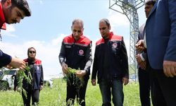 Akyaka’da dolu yağışı tarım arazilerini vurdu: Hasar tespit çalışmaları sürüyorAkyaka’da etkili olan dolu yağışı, tarıms