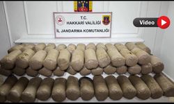 Yüksekova’da Zehir Tacirlerine Büyük Darbe: 503 Kilo Esrar Ele Geçirildi