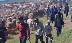 Muş’ta iki köy arasında ’arazi’ kavgası: 2 yaralı