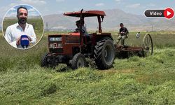 Yüksekova’da çiftçilerin kavurucu sıcakta ot toplama mesaisi sürüyor
