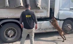 Şırnak’ta zehir tacirlerine ağır darbe: 90 kilo uyuşturucu ele geçirildi