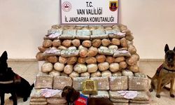 Van’da 333 kilo skunk ele geçirildi