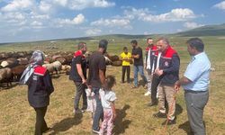Kars’ta yaylalarda hayvancılığa yakın takip