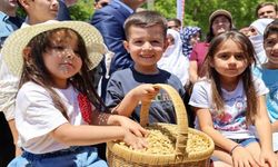Ulukale dutunda bu yıl 650 ton rekolte beklentisi