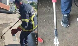 Hakkari’de aracın motor bölmesine giren yılan çıkarıldı