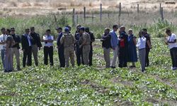 Ankara'da eğitim helikopteri düştü: 1 can kaybı, 1 yaralı