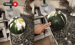 Yüksekova’da zincir marketten aldığı karpuzun içinden köpüklü sıvı çıktı