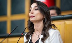 DEM Partili Hatimoğulları'ndan Çözüm Süreci İçin 4 Maddelik Öneri