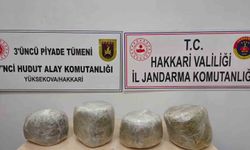 Yüksekova’da 11 kilo skunk ele geçirildi