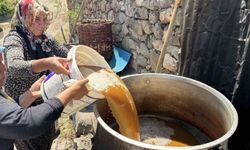 Servi köyünde asırlık gelenek yaşatılıyor: Dut pekmezi büyük emeklerle hazırlanıyor