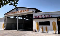 Diyarbakır Büyükşehir Belediyesi'nden ‘Halk Ekmek Fabrikası