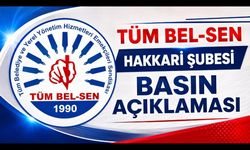 TÜM BEL-SEN Hakkari Şubesi'nden Basın Açıklaması
