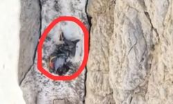 Cilo Dağın’nda Hayatını Kaybeden Dağcının Düştüğü Nokta Görüntülendi
