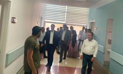 DEM Parti Heyetinden Hakkâri'de Taziye ve Geçmiş Olsun Ziyaretleri