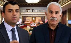 Öcalan’ın yeğeninden ‘süreç’ mesajı: Artık tercih değil