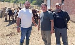 Tunçbilek’te daha sağlıklı hayvancılık için ilaçlama yapıldı