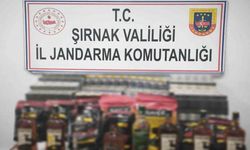Şırnak’ta jandarmadan kaçakçılığa büyük darbe