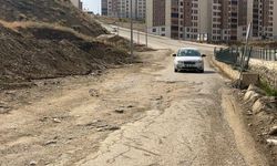 Yüksekova Pizok TOKİ Evlerinin Yolu Onarılmayı Bekliyor