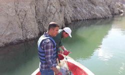 Van’da sazangiller av yasağı sona erdi