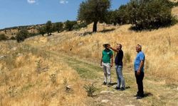 Şırnak’ta milli takım seçmeleri öncesi Namaz Dağı’nda saha incelemesi