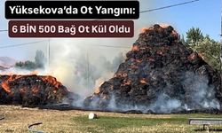 Yüksekova’da Ot Yangını: 6 BİN 500 Bağ Ot Kül Oldu