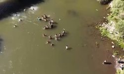 Bingöl’de suda kaybolan kişiyi vatandaşların kurtarma mücadelesi dronla görüntülendi