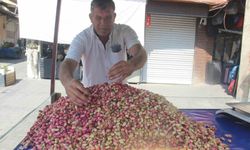 Şanlıurfa’da yeni mahsul fıstık tezgahlardaki yerini aldı