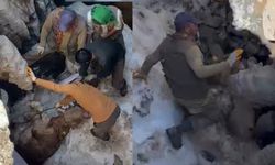 Yüksekova'da Boğayı Uçurumdan Halatlarla Çıkardılar