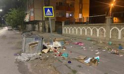 Patnos’un güzelliğine gölge düşüren görüntüler