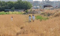 Şanlıurfa’da tarlada erkek cesedi bulundu