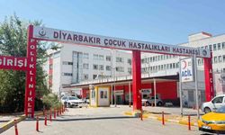 Diyarbakır’da kedinin ısırdığı çocuk entübe edildi, testlerde kuduz çıktı