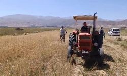 Yüksekova Ovası'nda Hasat Mesaisi Başladı: Çiftçi Sıcağa Rağmen Tarlada
