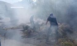 Hakkari’de Samanlık Yangını: 200 Bağ Saman Kül Oldu