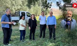 Yüksekova'da Kültür ve Sanat Festivali düzenlenecek: Koma Amed sahne alacak