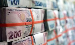 Türkiye'nin vergi rekortmenleri açıklandı