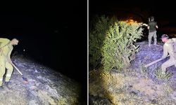 Yüksekova'da çıkan yangın söndürüldü