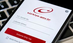 E-Devlet'ten bir hizmet daha! Milyonlar aynı ekrana akın ediyor