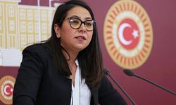 milletvekili Sera Kadıgil hakkında re’sen soruşturma başlatıldı