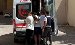 Fırat Nehri’ne giren 2 kişi boğuldu