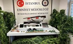 Beykoz’da uyuşturucu operasyonu: 117 kök hint keneviri ve çok sayıda silah ele geçirildi