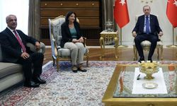 Erdoğan ile görüşen DEM Parti İmralı Heyetinden Açıklama