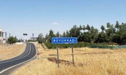 Diyarbakır Valiliğinden kuduz açıklaması