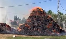 Yüksekova’da Ot Yangını: 6 Bin 500 Bağ Ot Kül Oldu