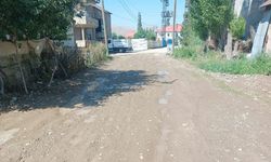 Yeni Mahalle’de tozlu ve çamurlu yol tepki çekiyor