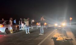 Başkale Çevre Yolunda  Kaza: Onlarca Koyun Telef Oldu