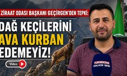Başkanı Geçirgen’den dağ keçisi ihalesine tepki: “Doğamızın simgelerini ava kurban edemeyiz”