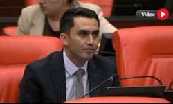 Hakkâri Milletvekili Parlak’tan dağ keçisi ihalesine tepki: Av partilerini durdurun!