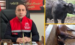 Yüksekova'da Hayvan Yetiştiricilerine Kritik Uyarı