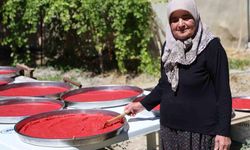 Yazlıkçıların kış hazırlığı: Domates salçası tepsilerde güneşte olgunlaşıyor